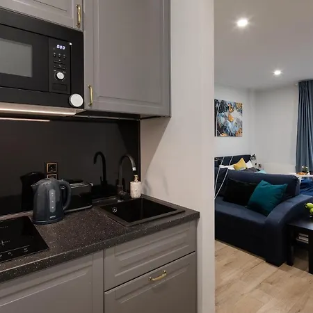 Old Ridzenes Design Apartment *