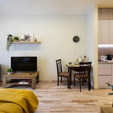 Apartment Old Ridzenes Design Riga